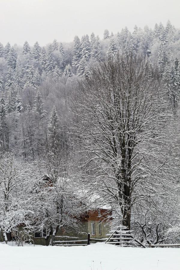 Apartamento Багрівчанка Yaremche Exterior foto