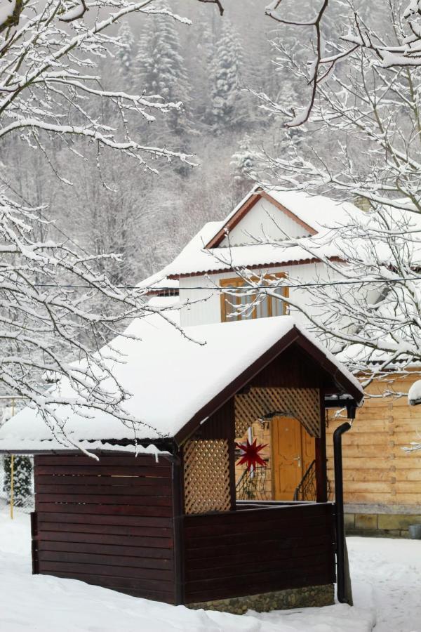Apartamento Багрівчанка Yaremche Exterior foto